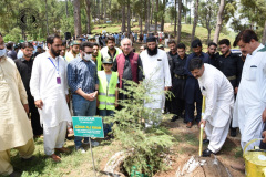 1000 Trees planted at Jabrian by CUI Abbottabad and Deputy Commissioner Abbottabad August 03, 2021