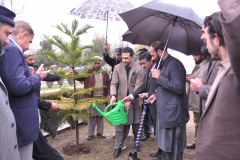 Tree plantation by Commissioner Hazara Division Mr Amjad Ali Khan 14 February 2019