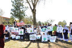 Tree Plantation by Forest Department and Special Children March 21, 2016