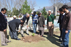 Tree Plantation Campaign Dr. Maroof Shah and Director CIIT Abbottabad March 08, 2016