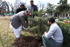 Tree Plantation Drive by Director  March 08, 2022