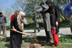 Tree Plantation Drive by Green Campus Committee March 31, 2017